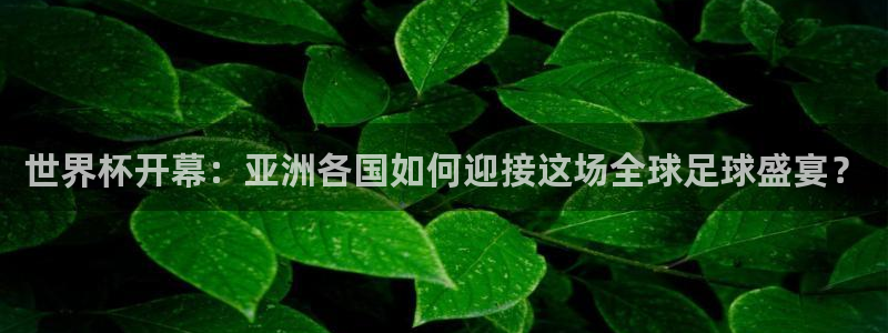 世界杯 赛程:世界杯开幕:亚洲各国如何迎接这场全球足球盛宴?