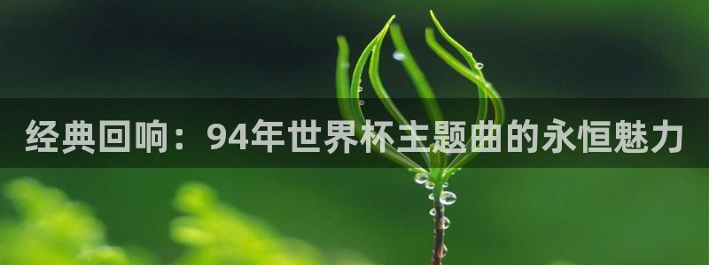 2026男足世界杯:经典回响:94年世界杯主题曲的永恒魅力