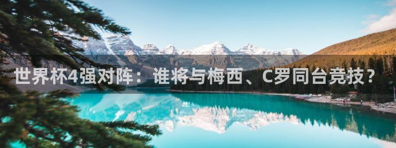 世界杯官网:世界杯4强对阵:谁将与梅西、C罗同台竞技?