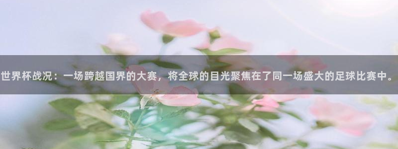 美洲杯直播:世界杯战况:一场跨越国界的大赛,将全球的目光聚焦在了同一场盛大的足球比赛中。