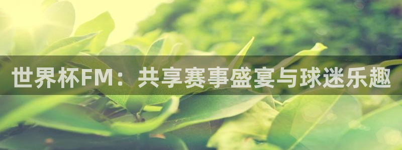 世界杯2026预选赛:世界杯FM:共享赛事盛宴与球迷乐趣