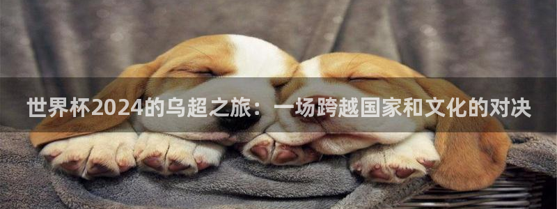 世界杯预选赛:世界杯2024的乌超之旅:一场跨越国家和文化的对决