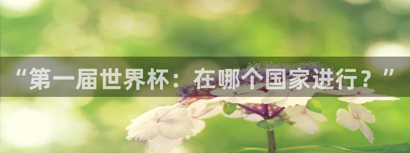 世界杯预选赛欧洲赛区积分榜:“第一届世界杯:在哪个国家进行?”