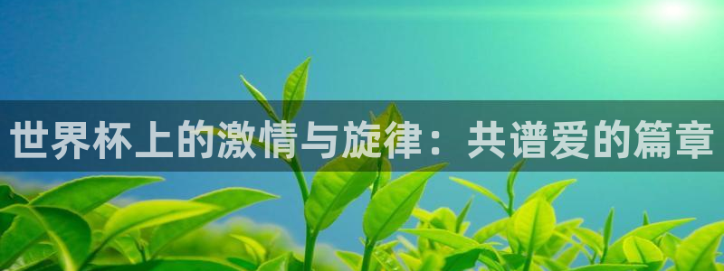 2026年世界杯赛程时间表格:世界杯上的激情与旋律:共谱爱的篇章