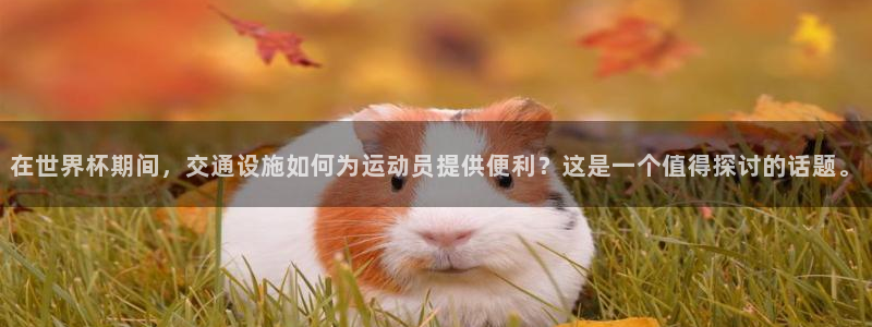 世界杯赛程时间表:在世界杯期间,交通设施如何为运动员提供便利?这是一个值得探讨的话题。