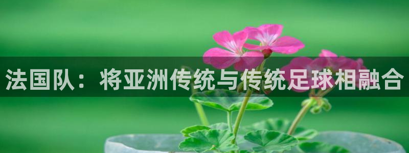欧联杯直播:法国队:将亚洲传统与传统足球相融合