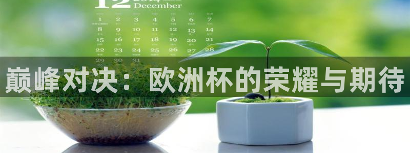 世界杯欧洲区世预赛赛程:巅峰对决:欧洲杯的荣耀与期待